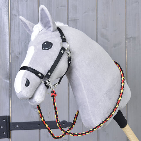 Reins Flag