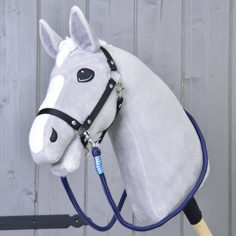 Reins Blues