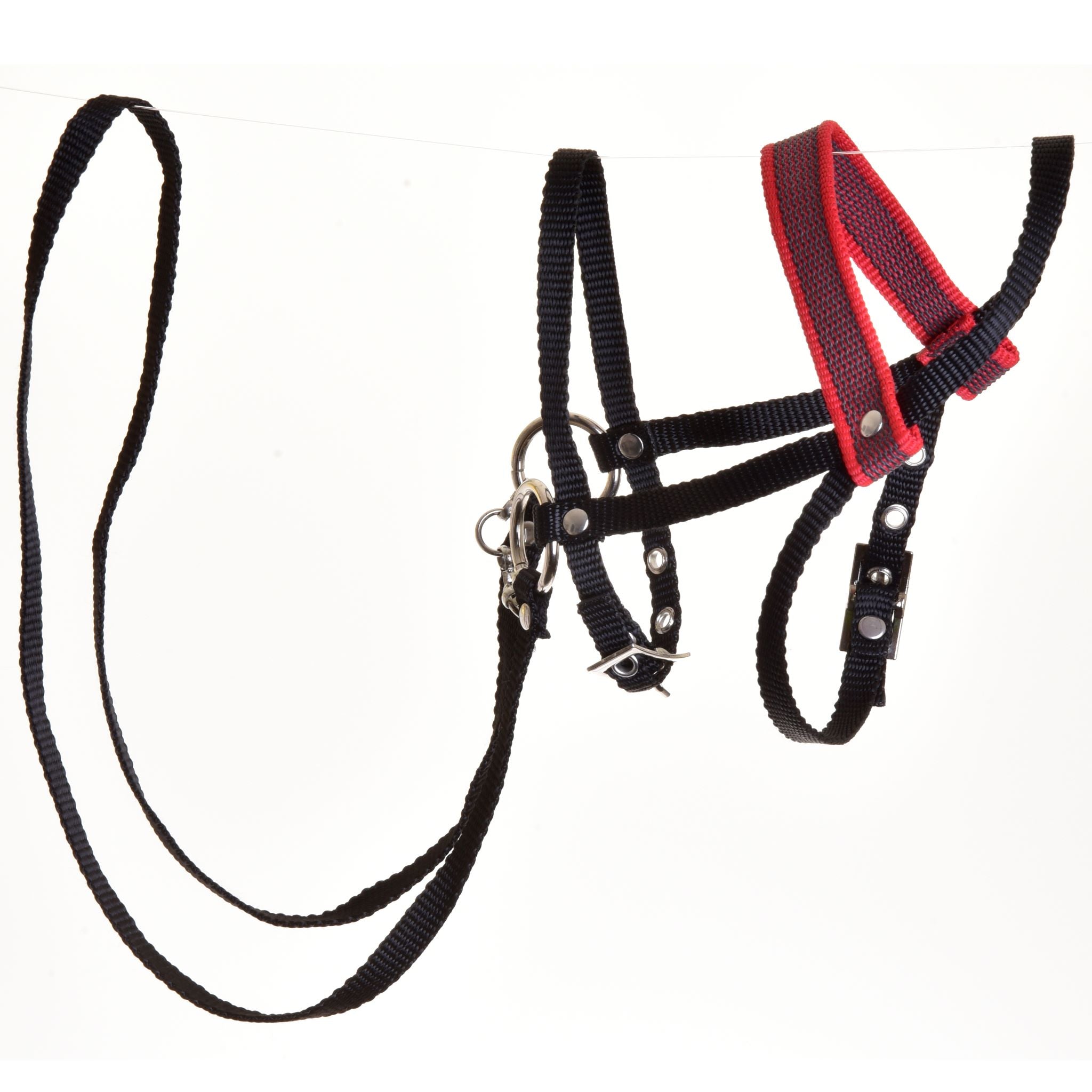 English Bridle Reins for Hobby Horse, Tack Set for Hobbyhorse, Removable  Browband and Noseband -  Finland